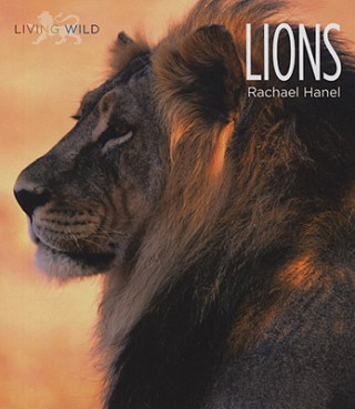 Carte Lions Rachael Hanel