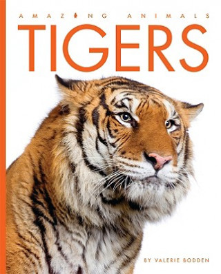 Kniha Tigers Valerie Bodden