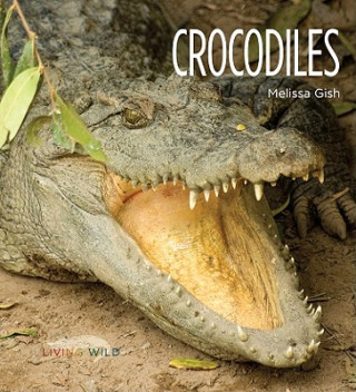 Kniha Crocodiles Melissa Gish