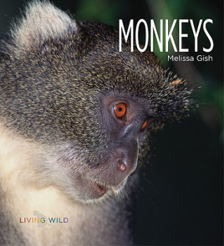 Buch Monkeys Melissa Gish