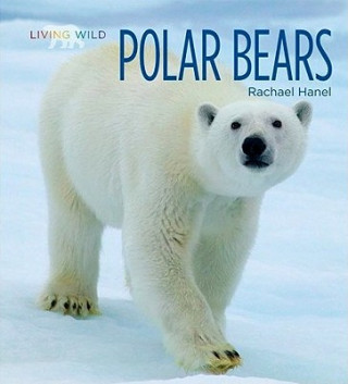 Book Polar Bears Rachael Hanel