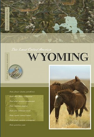 Book Wyoming Rachael Hanel