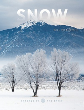 Könyv Snow Bill McAuliffe