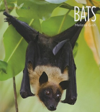 Knjiga Bats Melissa Gish