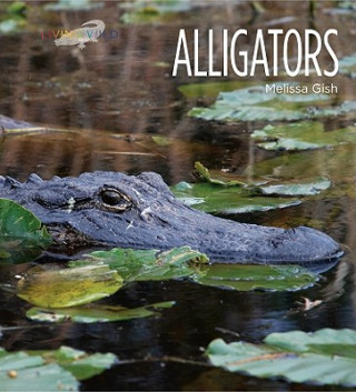 Knjiga Alligators Melissa Gish
