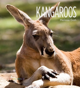 Kniha Kangaroos Melissa Gish