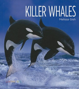 Książka Killer Whales Melissa Gish