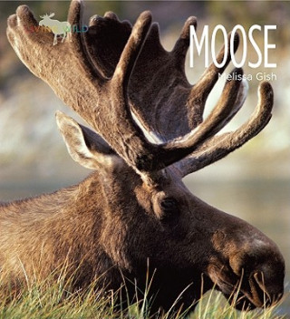 Knjiga Moose Melissa Gish
