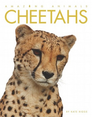Kniha Cheetahs Kate Riggs