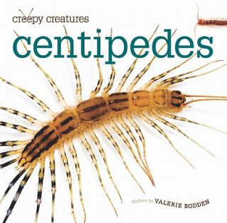 Kniha Centipedes Valerie Bodden