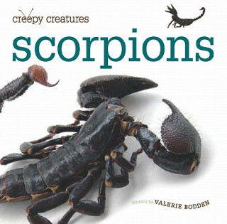 Buch Scorpions Valerie Bodden