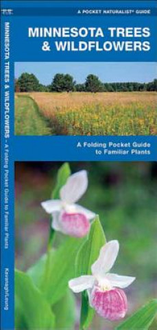 Kniha Minnesota Trees & Wildflowers: An Introduction to Familiar Species James Kavanagh