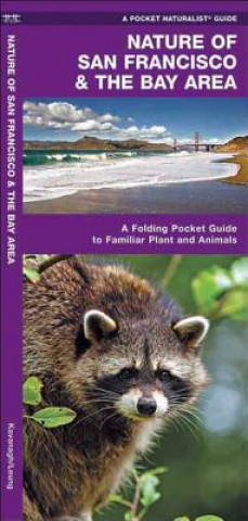 Tiskovina Nature of San Francisco & the Bay Area: An Introduction to Familiar Plants & Animals James Kavanagh