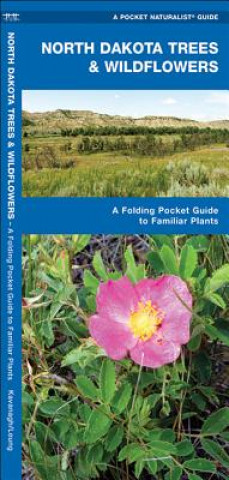 Kniha North Dakota Trees & Wildflowers: An Introduction to Familiar Species James Kavanagh