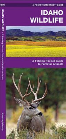 Könyv Idaho Wildlife: An Introduction to Familiar Species James Kavanagh