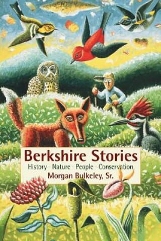 Kniha Berkshire Stories: History - Nature - People - Conservation Morgan Bulkeley