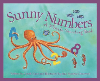 Kniha Sunny Numbers Carol Crane