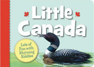 Livre Little Canada Matt Napier