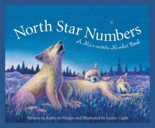 Kniha North Star Numbers: A Minnesota Number Book Kathy-Jo Wargin