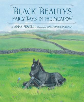 Kniha Black Beauty's Early Days in the Meadow Anna Sewell