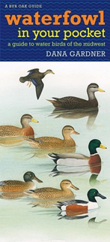 Tiskovina Waterfowl in Your Pocket: A Guide to Water Birds of the Midwest Dana Gardner