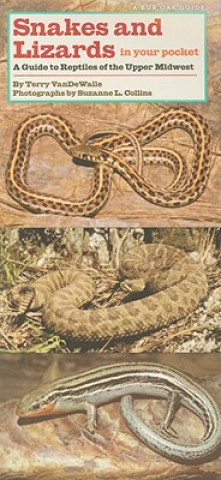 Carte Snakes and Lizards in Your Pocket: A Guide to Reptiles of the Upper Midwest Terry Vandewalle