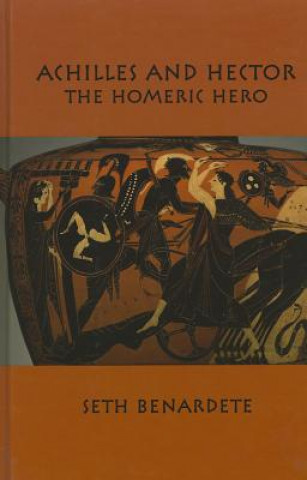 Kniha 05 Achilles and Hector - Homeric Hero Benardete