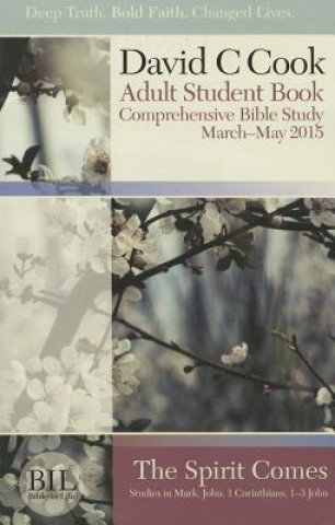 Kniha Bible-In-Life Adult Comprehensive Bible Study David C Cook Publishing Company