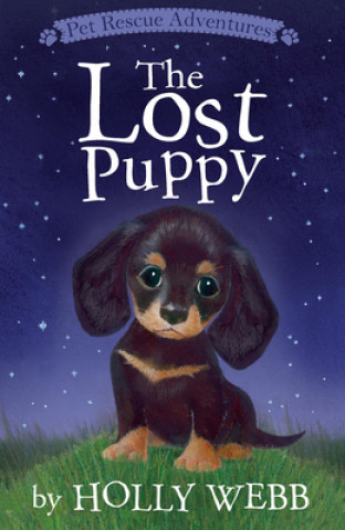 Kniha The Lost Puppy Holly Webb