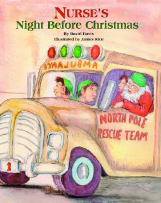 Könyv Nurse's Night Before Christmas David Davis