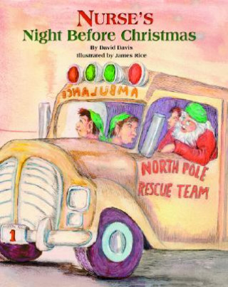 Buch Nurse's Night Before Christmas David Davis