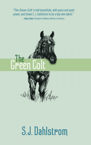 Kniha The Green Colt: The Adventures of Wilder Good #4 S. J. Dahlstrom