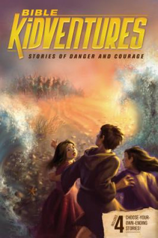 Βιβλίο Bible KidVentures Stories of Danger and Courage Jeanne Dennis