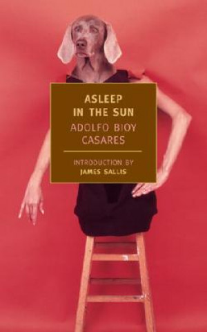Kniha Asleep in the Sun Adolfo Bioy Casares