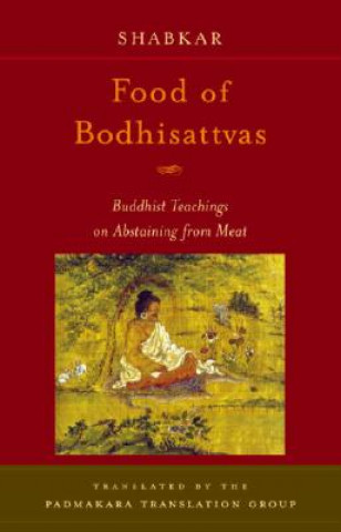 Könyv Food of Bodhisattvas Shabkar