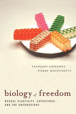 Kniha Biology of Freedom: Neural Plasticity, Experience, and the Unconscious Francois Ansermet