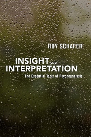 Kniha Insight and Interpretation Roy Schafer