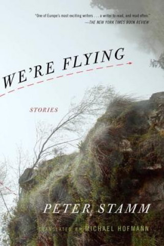 Book We're Flying: Stories Peter Stamm
