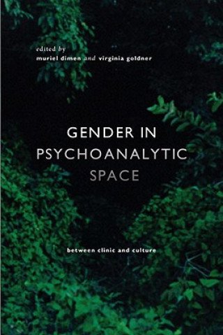 Kniha Gender in Psychoanalytic Space Muriel Dimen