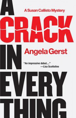 Kniha Crack in Everything Angela Gerst
