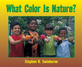 Kniha What Color Is Nature? Stephen R. Swinburne