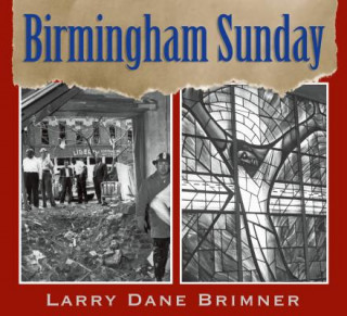 Kniha Birmingham Sunday Larry Dane Brimner