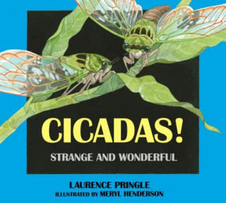 Kniha Cicadas!: Strange and Wonderful Laurence Pringle