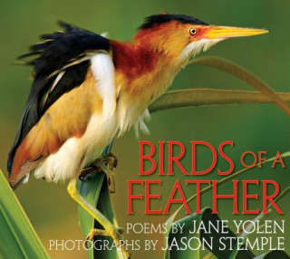 Carte Birds of a Feather Jane Yolen
