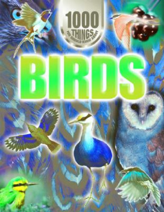 Carte Birds Jinny Johnson