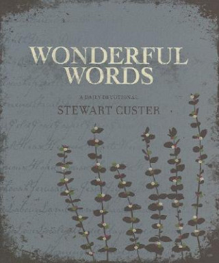 Книга Wonderful Words Custer Stewart