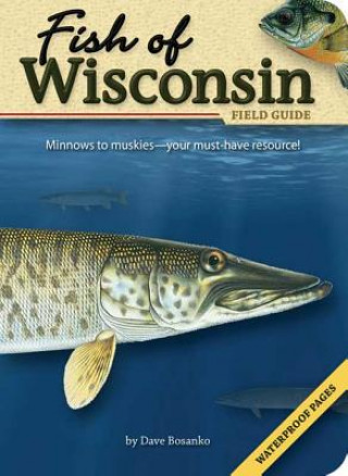 Könyv Fish of Wisconsin Field Guide Dave Bosanko