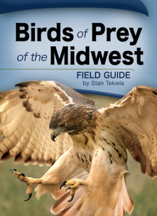Carte Birds of Prey of the Midwest Field Guide Stan Tekiela