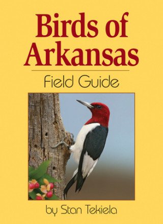 Kniha Birds of Arkansas Field Guide Stan Tekiela