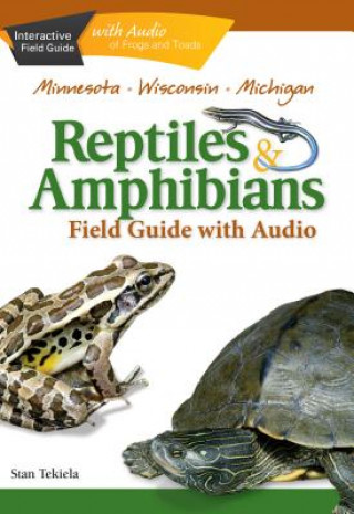 Könyv Reptiles & Amphibians of Minnesota, Wisconsin and Michigan Field Guide Stan Tekiela